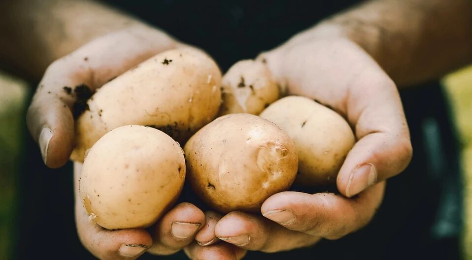 土豆对男人的健康有积极作用