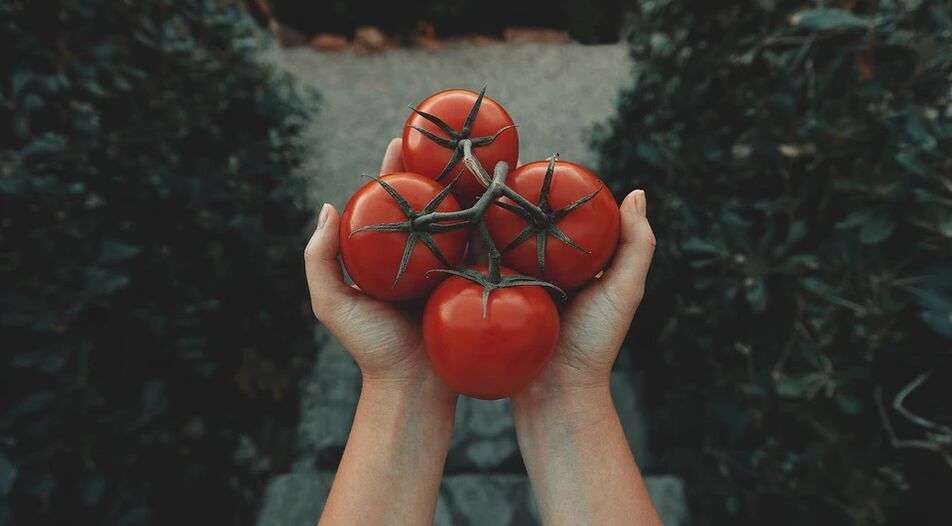 西红柿减少患前列腺癌的风险